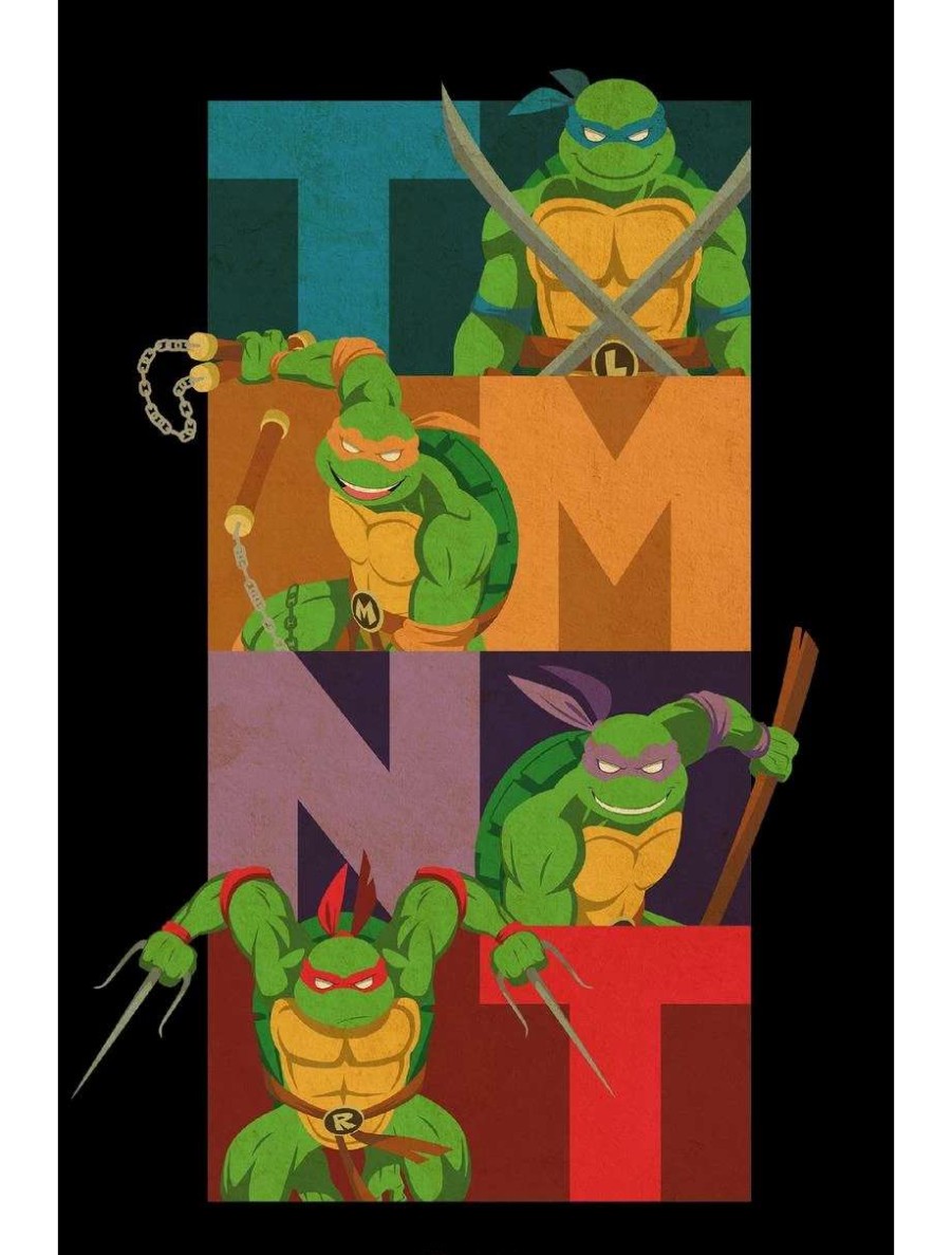 Cartoons * | Cartoons Teenage Mutant Ninja Turtles Colorblock Team Pose Poster